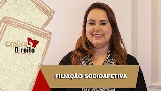 Explica Direito Filiação Socioafetiva  2019 [upl. by Anaujik]